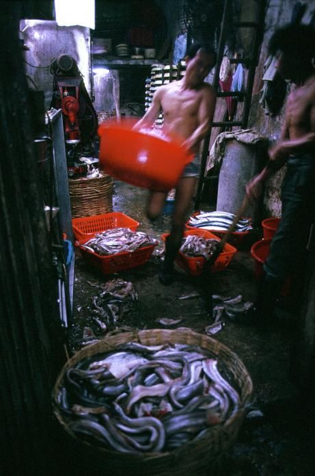 Before it was destroyed in 1994 Kowloon's Walled City was one of the most culturally fascinating structures in the world, housing a population of over 33,000 people. Thanks to images captured by ...