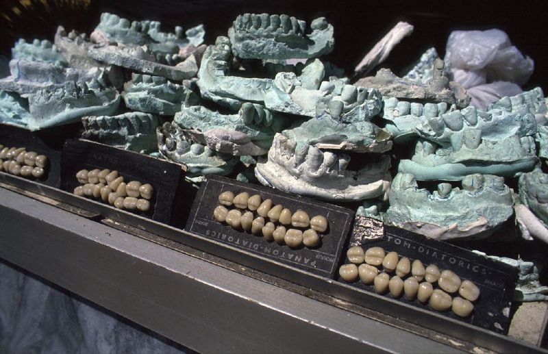 Before it was destroyed in 1994 Kowloon's Walled City was one of the most culturally fascinating structures in the world, housing a population of over 33,000 people. Thanks to images captured by ...